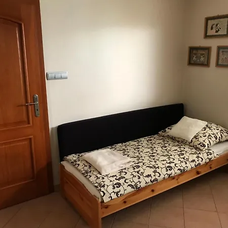 Goscinne Reja Проживание в семье *